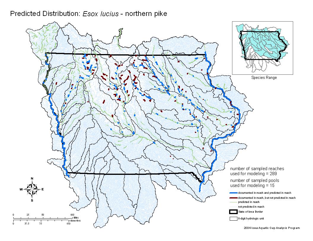 Northern Pike Distribution