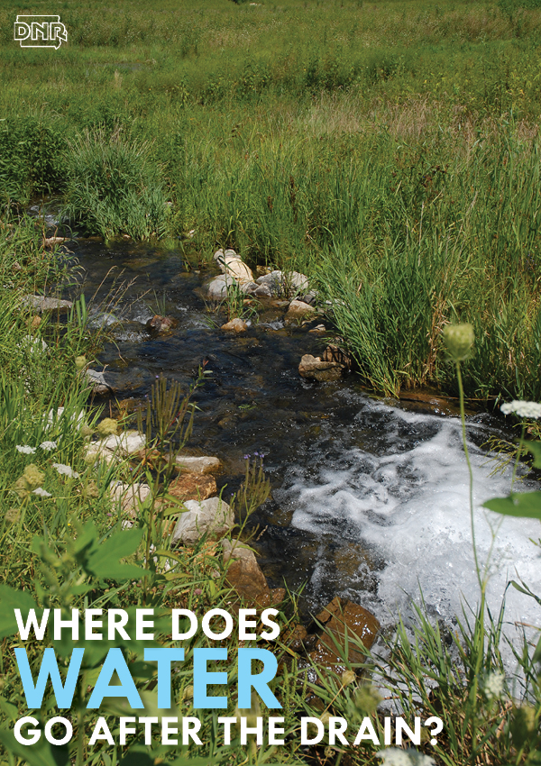 Where does water go after it goes down the drain? | Iowa DNR