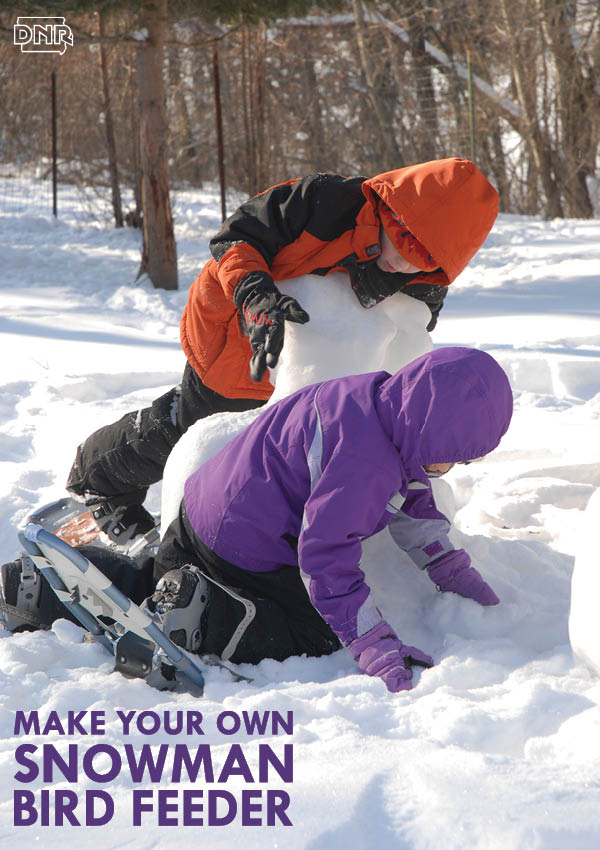 Build your own snowman bird feeder this winter! From Iowa Outdoors magazine