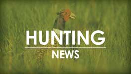 Iowa pheasant population survey begins Aug. 1