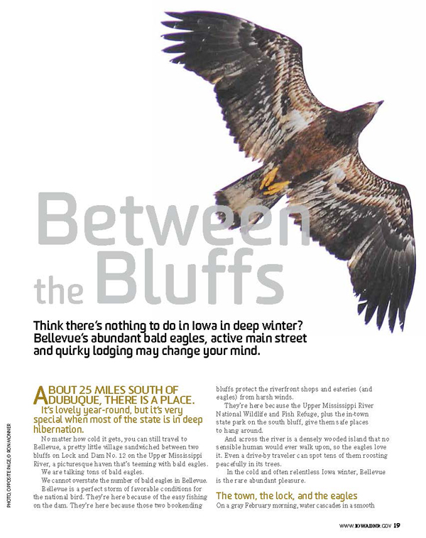 Between the Bluffs: Bald Eagle Watching at Bellevue State Park from Iowa Outdoors magazine