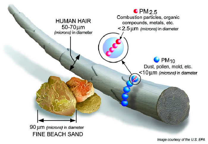 Depiction of the size of PM10 and PM2.5 with respect to a human hair (fine beach sand averages 90 microns in diameter, human hair averages 50-70 microns in diameter, PM10 is 10 microns and PM2.5 is 2.5 microns)