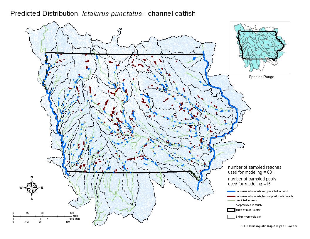 Channel Catfish Distribution
