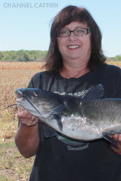 photo of Channel Catfish