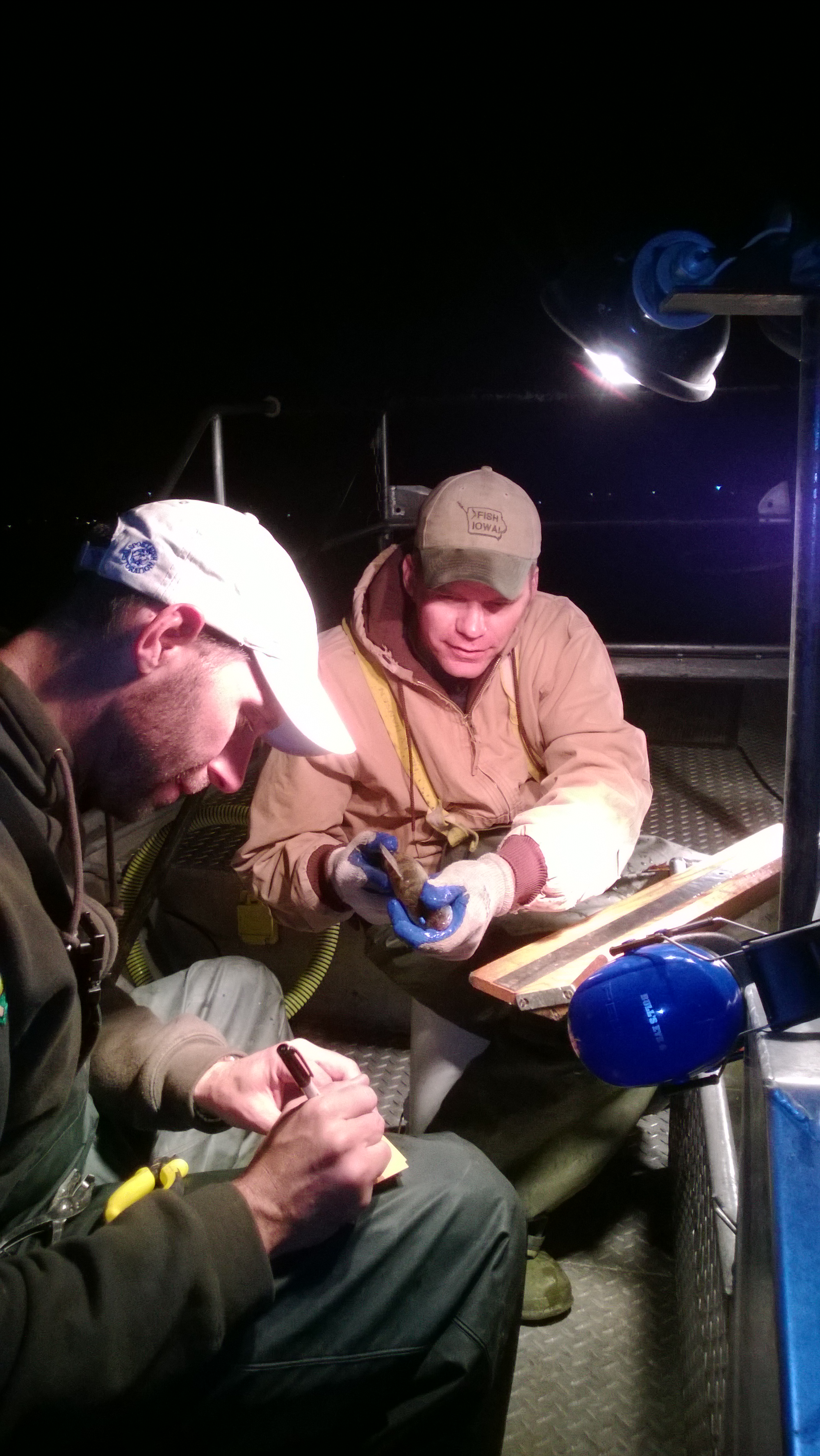 Fisheries staff conducting night electrofishing surveys.