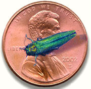 showing that eab is smaller than a penny