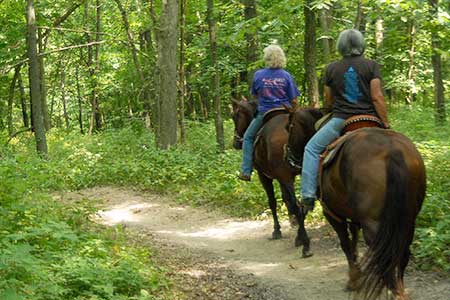 Equestrian trail riding