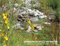 2010 Watershed Success Cover