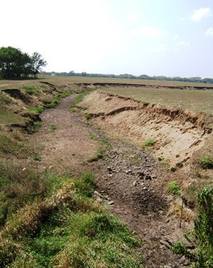 Dry streambed during drought of 2012