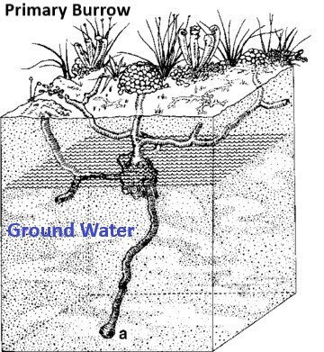 primary burrow map showing pulling from underground water source