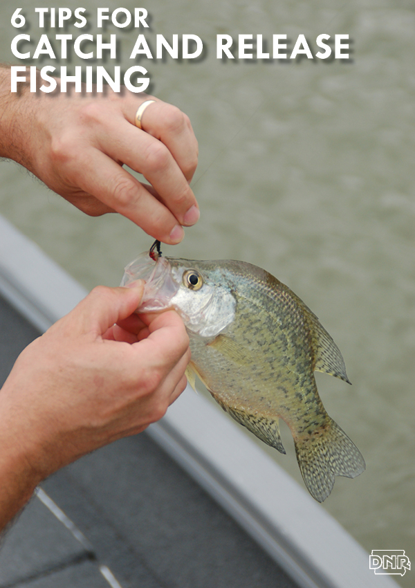 6 Tips for Catch and Release Fishing | Iowa DNR