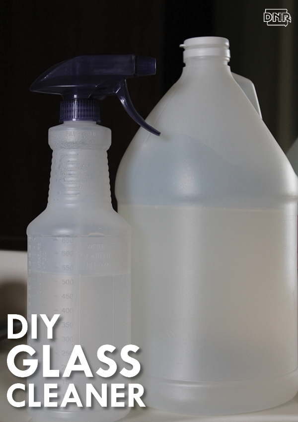DIY glass cleaner | Iowa DNR