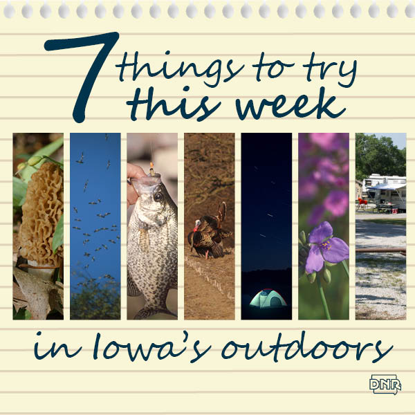 7 Things to Try in Iowa's Outdoors This Week | Iowa DNR