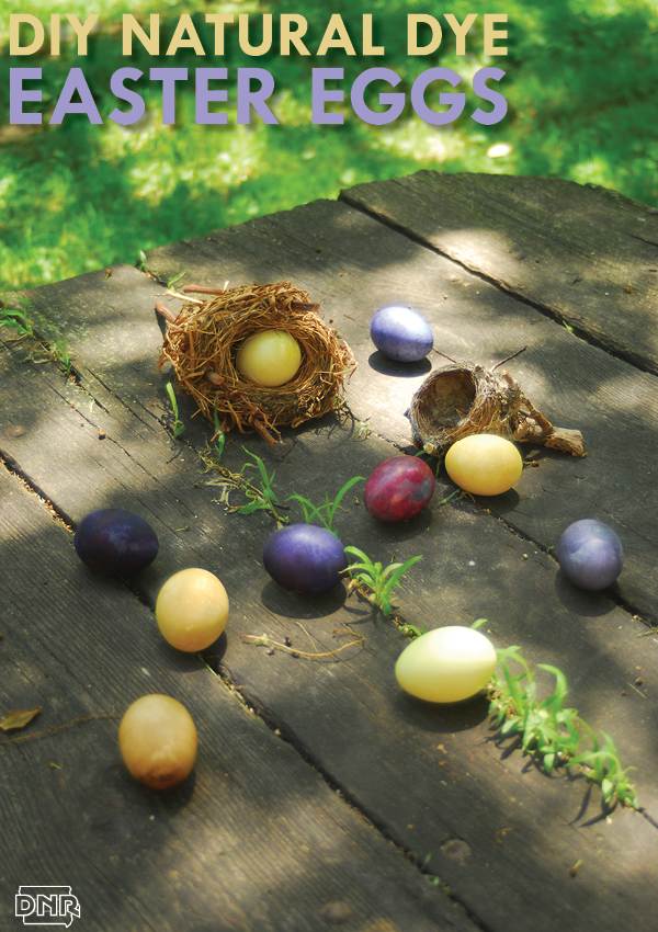 Use natural dyes for stunning colors for your Easter eggs | Iowa Outdoors Magazine