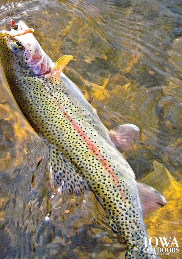 Iowa Trout Stocking Schedule 2022 Our Picks For Iowa's Top Nine Trout Streams In 2017 - Dnr News Releases