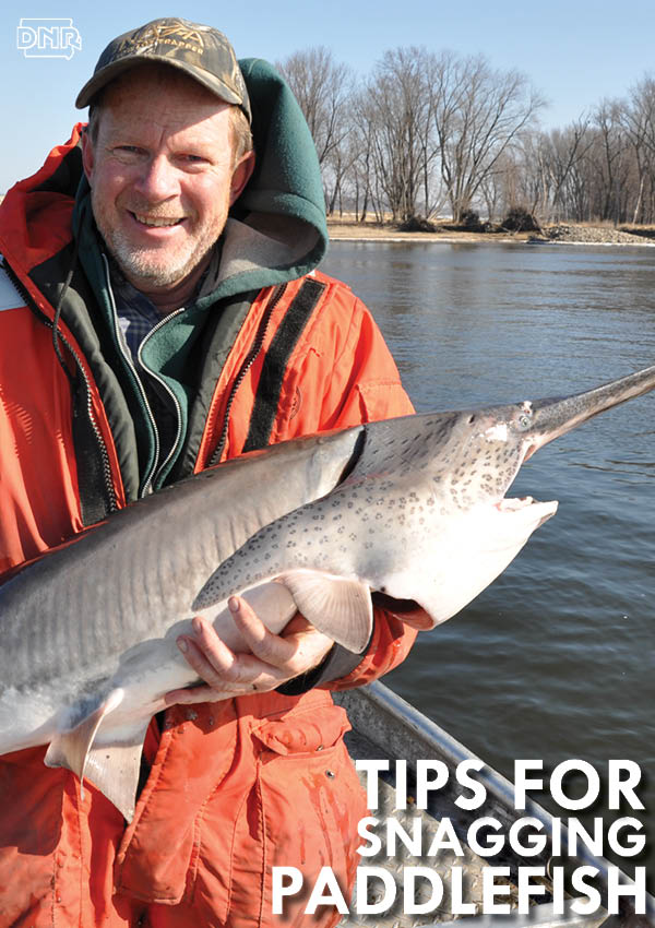 Snag a paddlefish this spring with these pointers | Iowa DNR