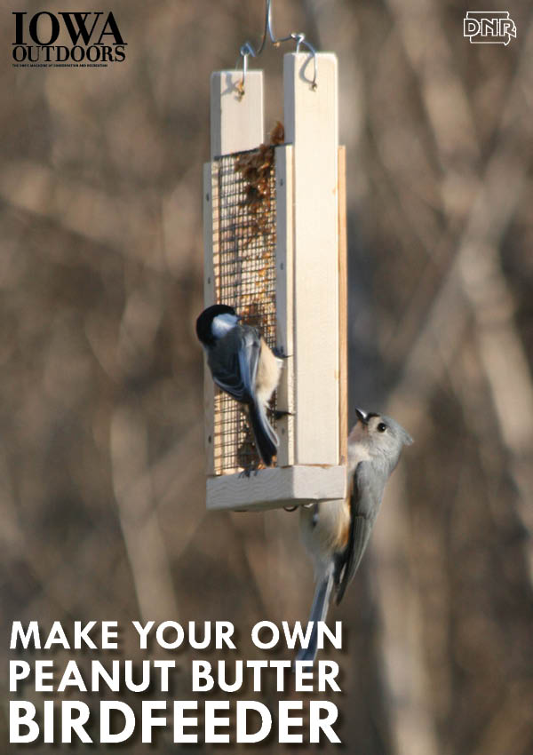 Make your own peanut butter birdfeeder with simple instructions from Iowa Outdoors magazine
