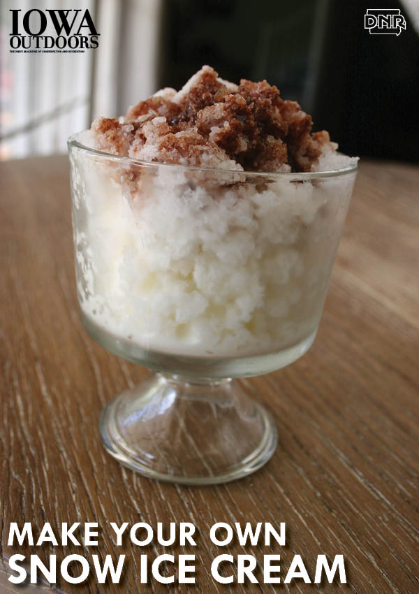 Make your own snow ice cream with this recipe from the Iowa DNR and Iowa Outdoors magazine