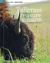 Tallgrass Treasure