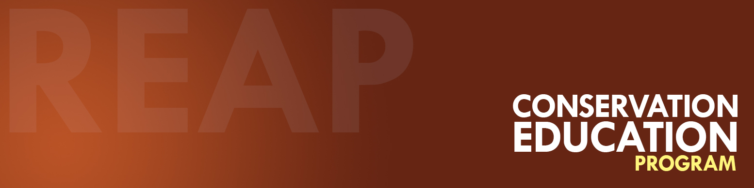 REAP CEP banner