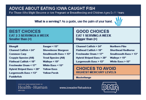 Healthy Iowa caught fish choice recommendations for pregnant women and young kids