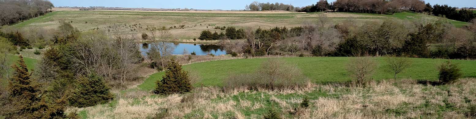 Example of good pond design watershed