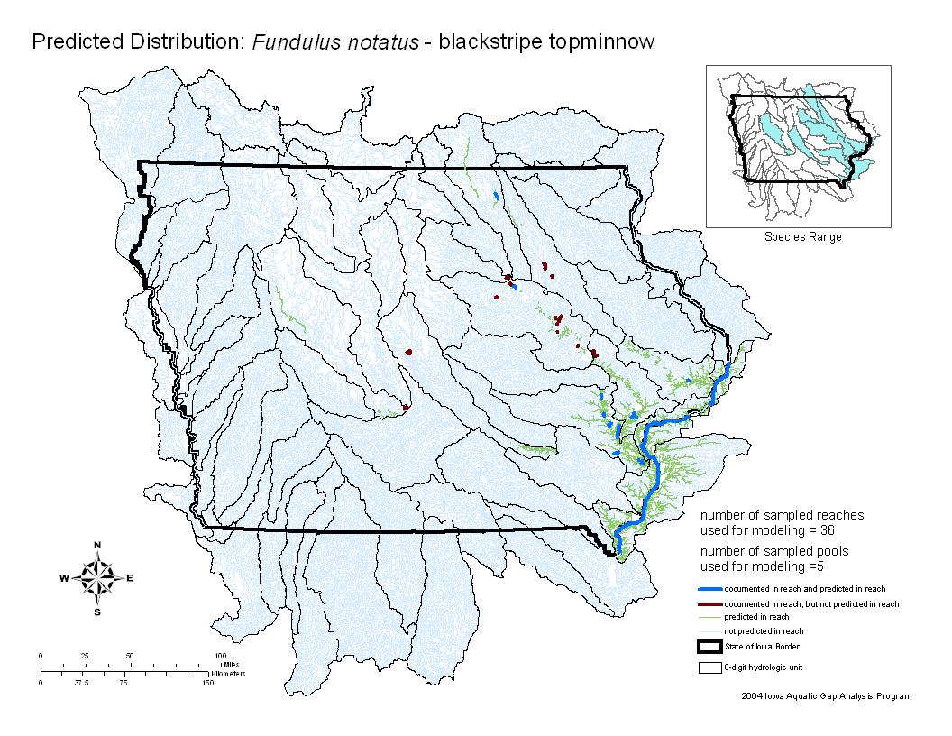 Blackstripe Topminnow Distribution