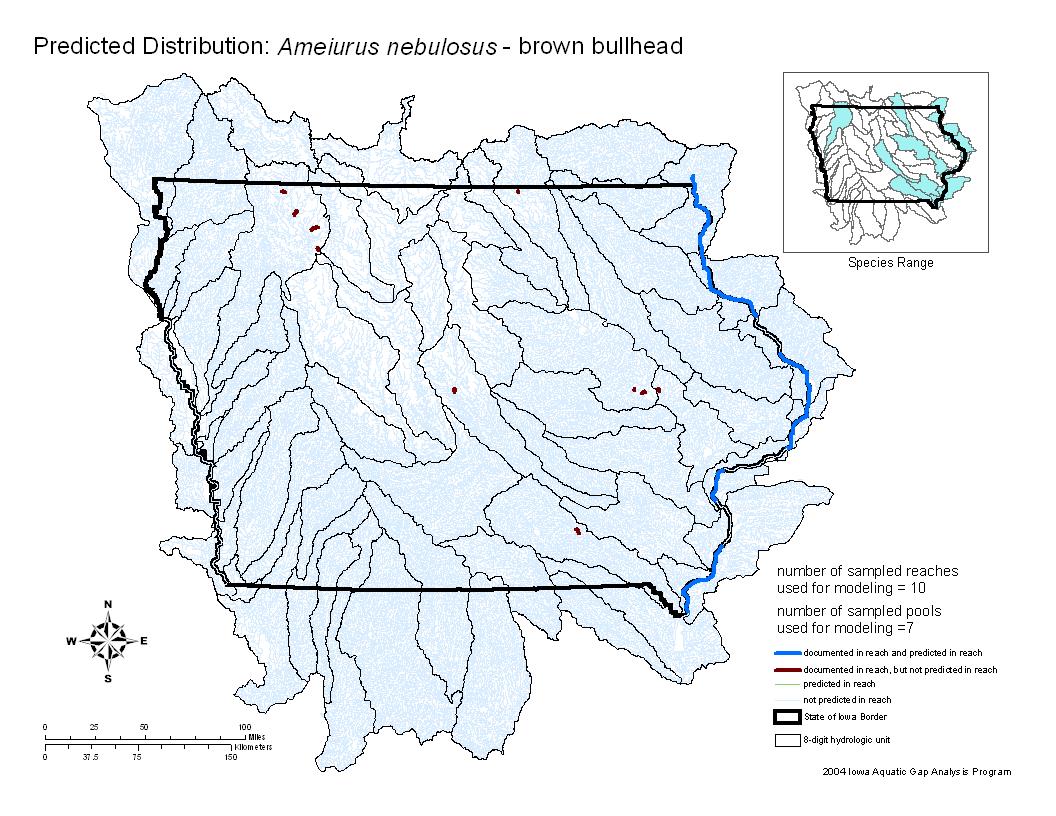 Brown bullhead Distribution