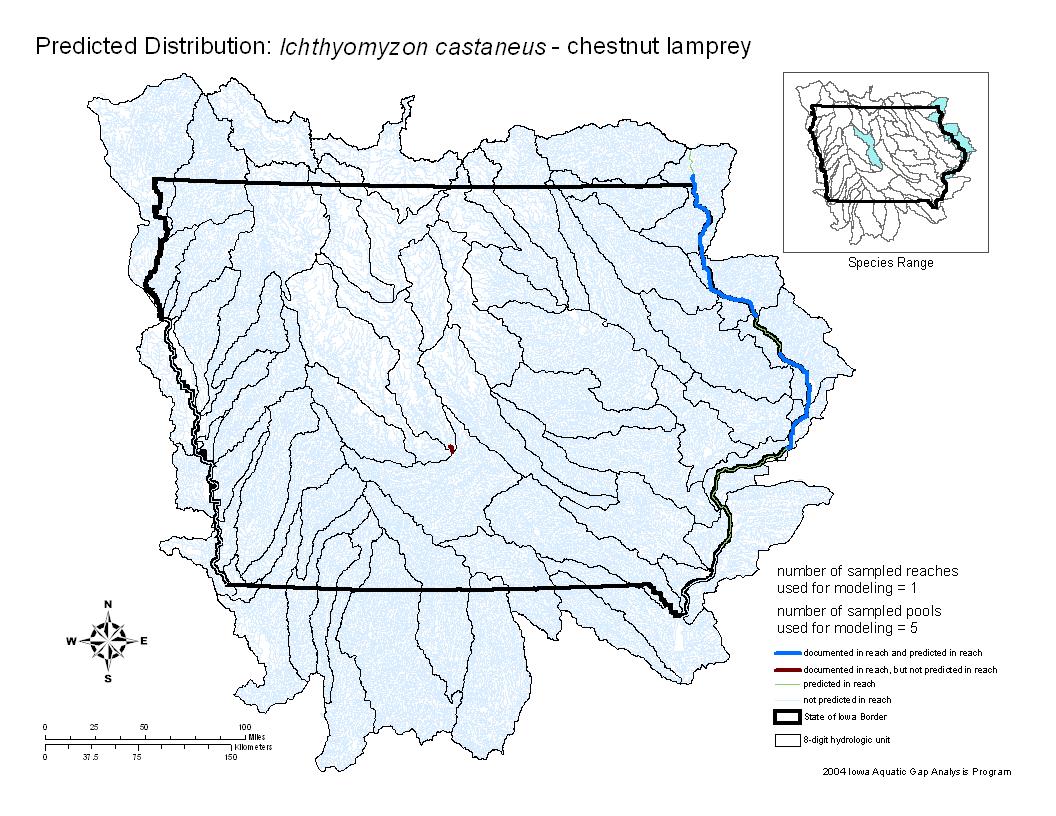 Chestnut Lamprey Distribution