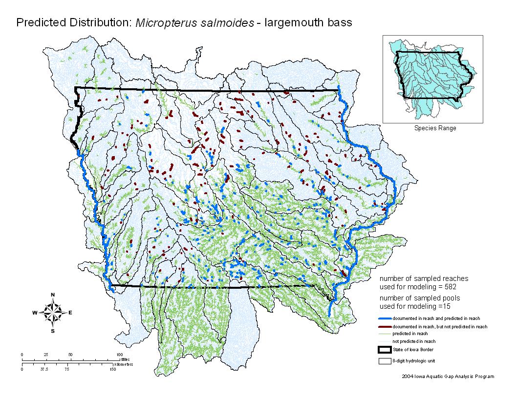 Largemouth Bass Distribution