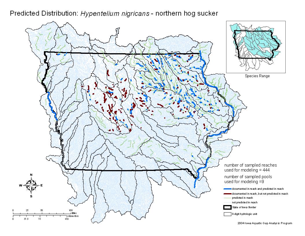 Northern hog sucker Distribution