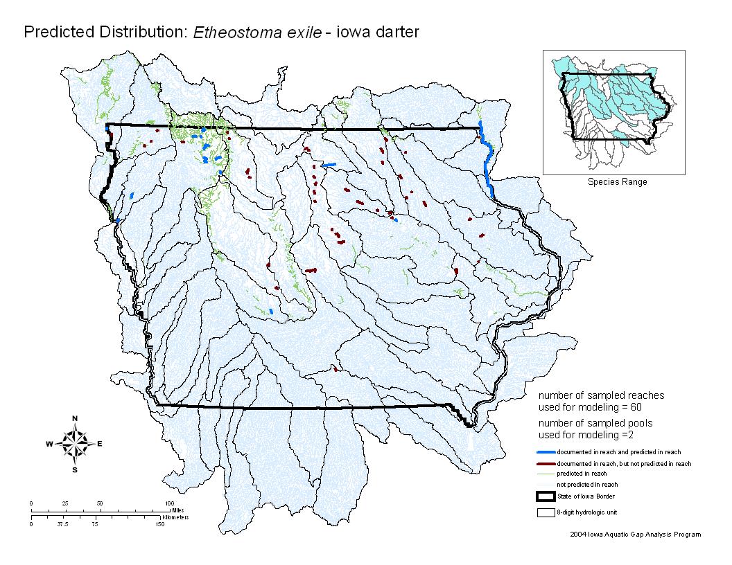 Iowa darter Distribution