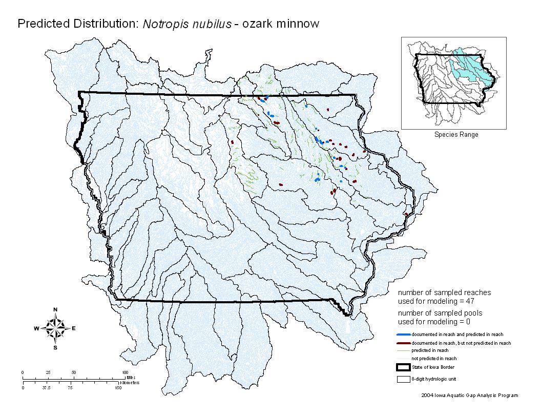 Ozark minnow Distribution