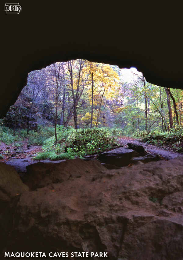Explore at Maquoketa Caves State Park | Iowa DNR