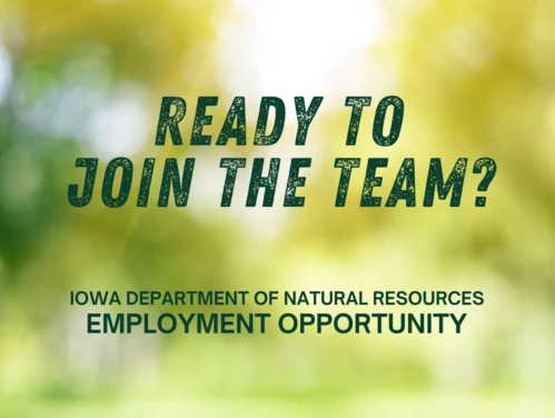 Ready to Join the Team?