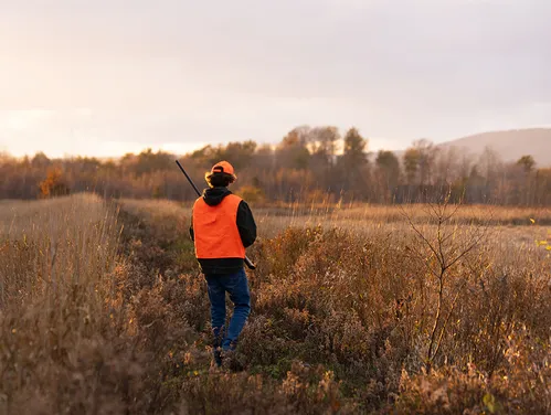 Hunter walking a field in the fall.