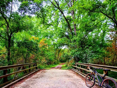 A bridge on a hiking trail.