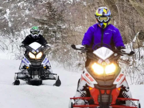 Two snowmobiles