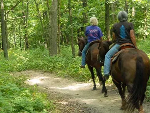 Two people ride horses through na equestrian trail in Iowa