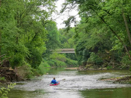 A kayaker in a life jacket paddles the North Raccoon River Water Trail in summer, surrounded by green trees and plants on the banks and a bridge in the distance.
