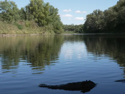 Image shows water levels on an Iowa river