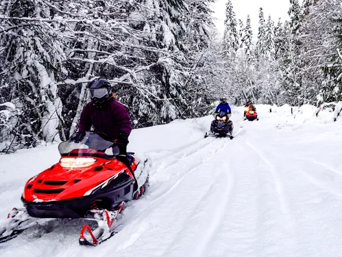 Snowmobiles driving on a trail through a snowy winter scene.