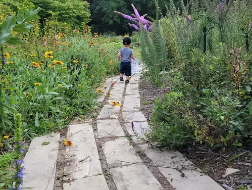 Butterfly garden at Bellevue State Park