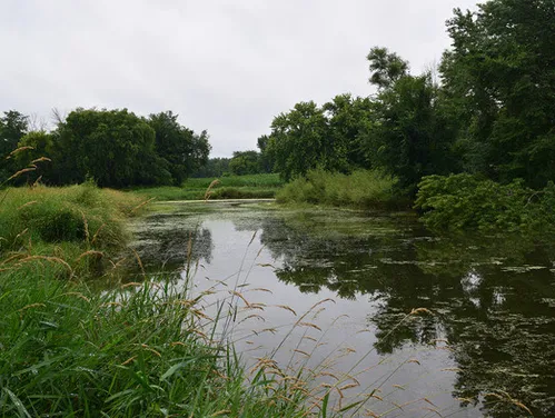 Oxbow and food plot at Red Fox Wildlife Area, in Benton County. Photo courtesy of the Iowa DNR.