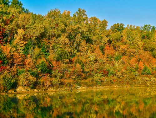 Beautiful trees in fall colors along a river.