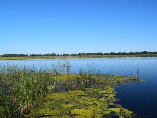 West Swan Lake is part of a string of lakes and marshes stretching through the middle of Emmet County.
