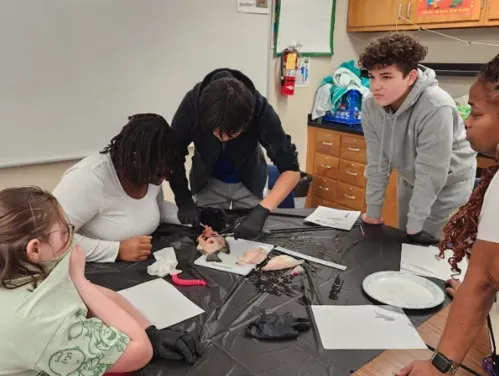 Students getting a hands on learning experience with fish anatomy, reproduction, and organ function.