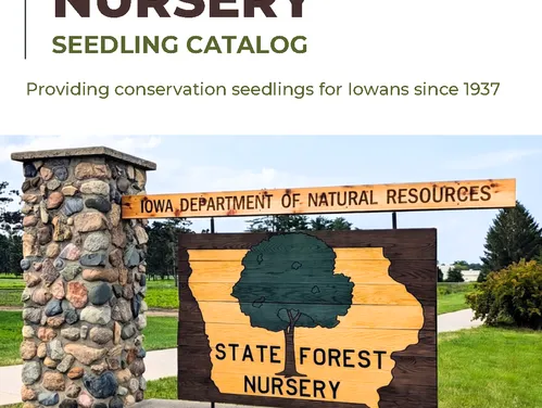 2026 State Forest Nursery Catalog cover