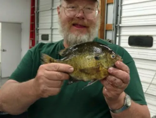 DNR Fisheries Research Technician Mark Richardson