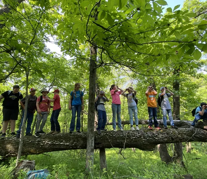 Springbrook State Park Wildlife Camp